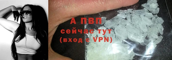 сатива Армянск