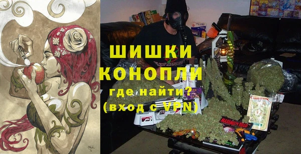 твердый Аркадак