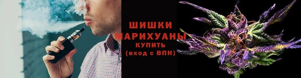 сатива Армянск