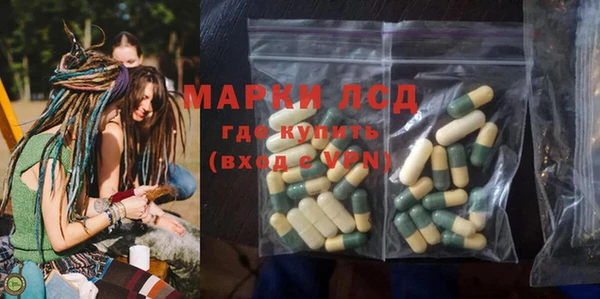 сатива Армянск