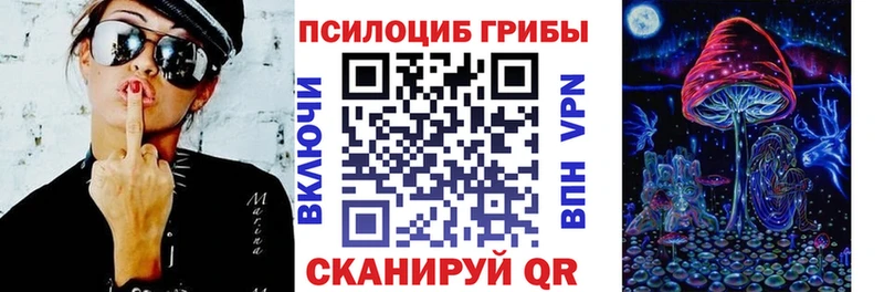 площадка формула  Неман  Псилоцибиновые грибы Cubensis 